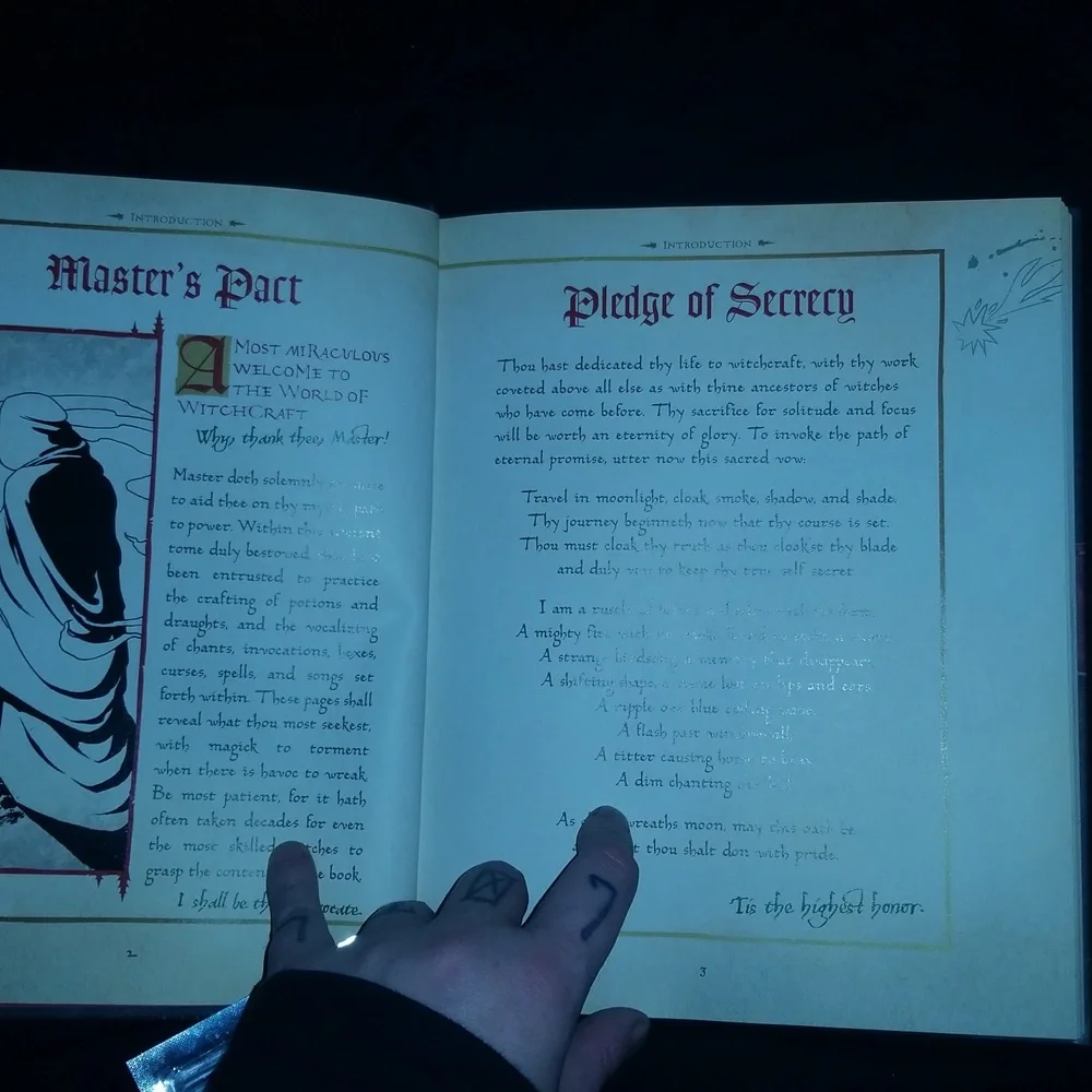 Hocus Pocus Spell Book - Picture 3 of 4